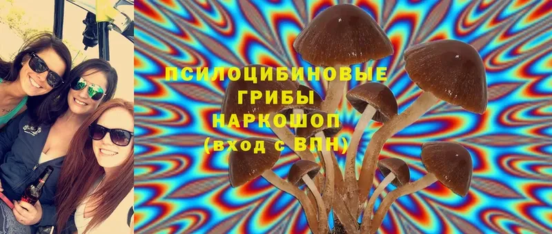 Галлюциногенные грибы Magic Shrooms  Азнакаево 